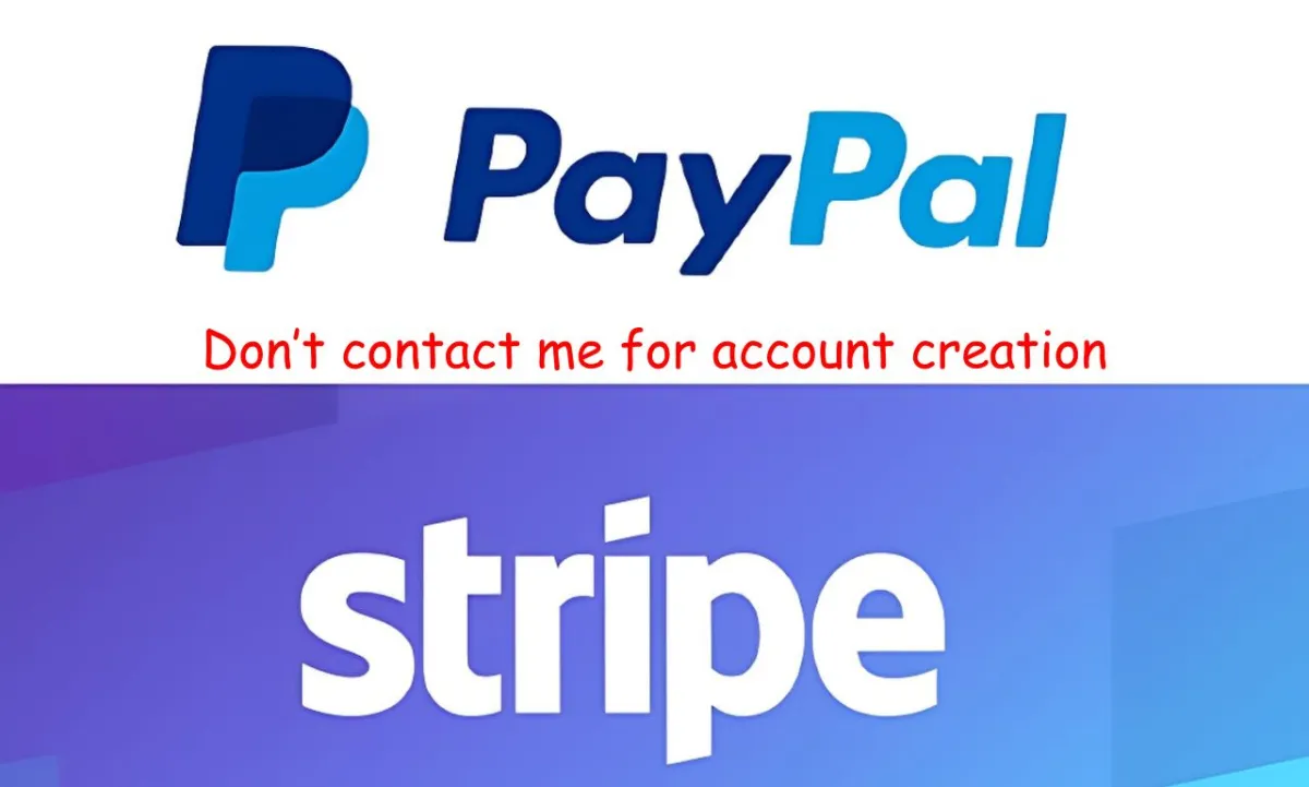 stripe payment or paypal payment to your website