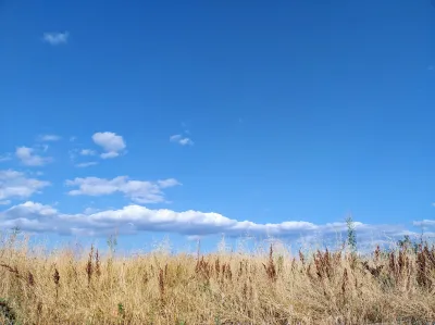 create customized posts to gain organic audience 