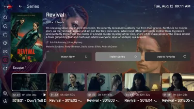 rebrand new version of ibo player with multi dns and control panel