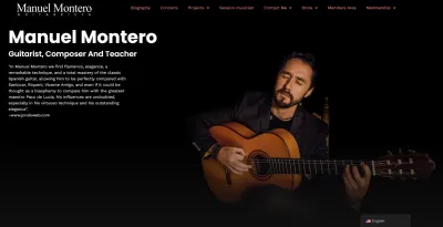 be your flamenco/pop/classical guitarist