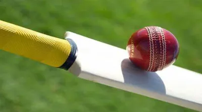I will write the cricket articles for you