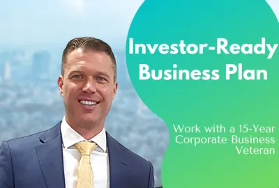 I will write a professional business plan for investors or loans