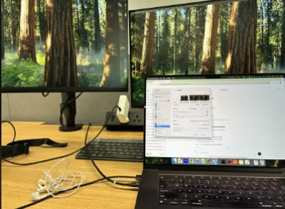 build a professional and responsive WordPress website for your business