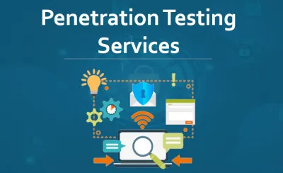 perform VA/PT for your website or company