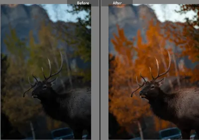 do color grading and color corrections with Adobe Lightroom