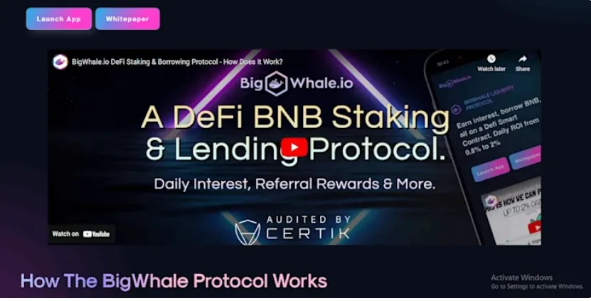 BNB Staking