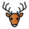 Wildlife Photography