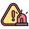 Crisis Management Services